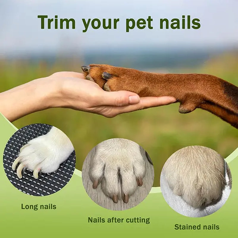 Petlovers 2-In-1 Pet Nail Clipper and Grinder, Dog Nail Clipper Trimmer, Ultra Quiet Electric Nail Set, Rechargeable, Suitable for Trimming Toes and Claws of Dogs and Cats of All Sizes